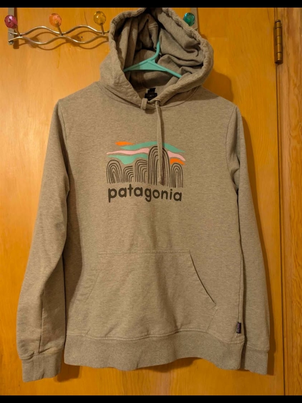 Patagonia Men's Light Gray Crewneck Hoodie with Teal & Orange Logo